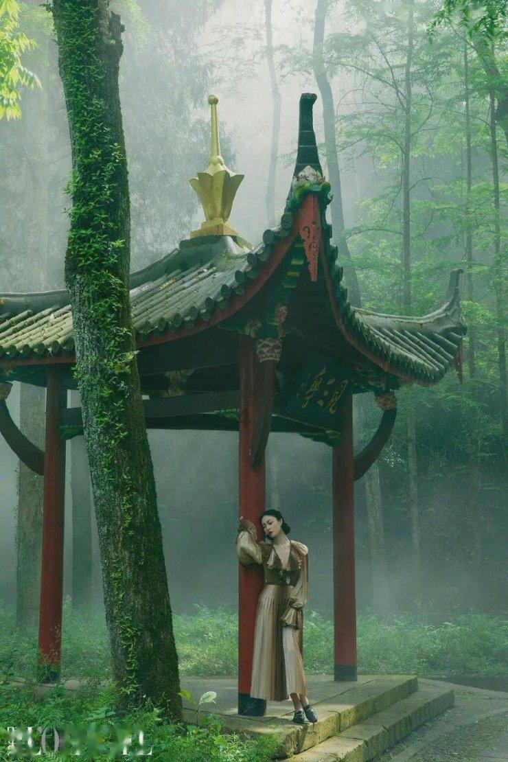 坐在汽车后座的乘客是否有必要系安全带？