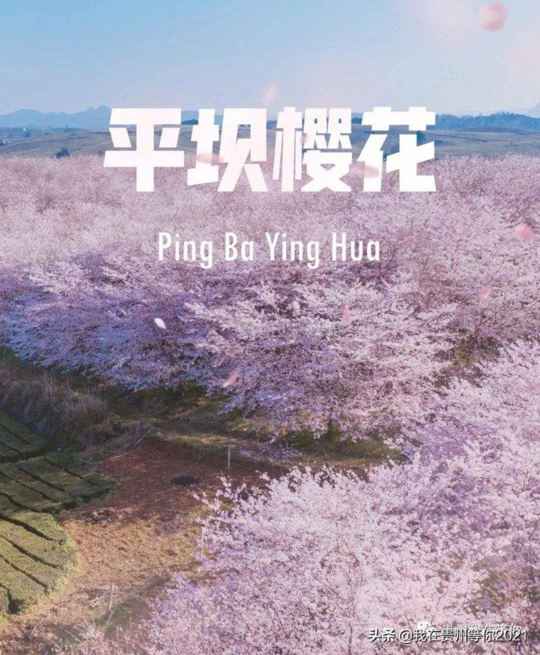 暗夜行驶者